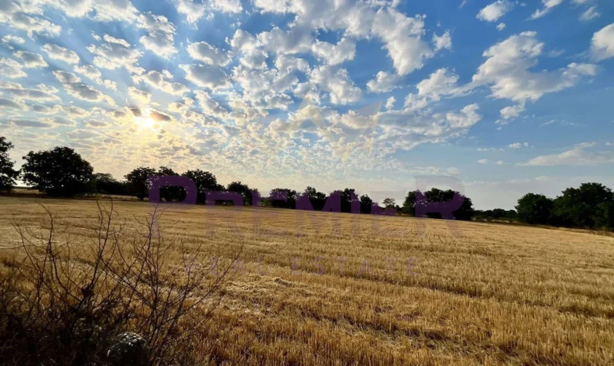 Къща в Змеево -  - снимка 17 - Имоти Премиер