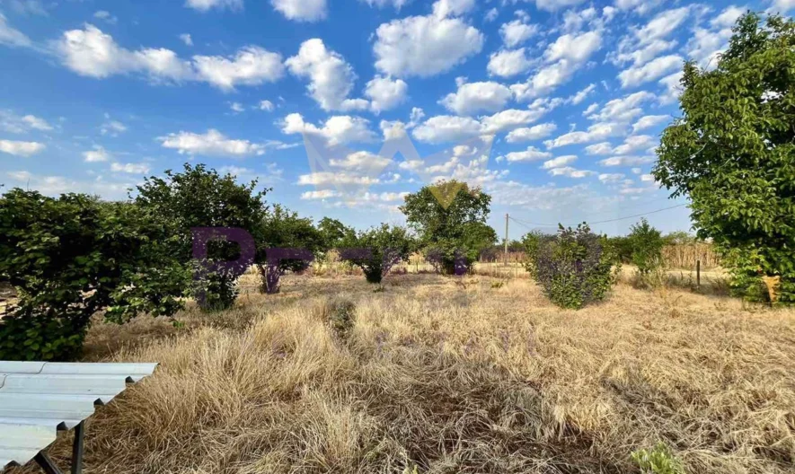 Къща в Змеево -  - снимка 18 - Имоти Премиер