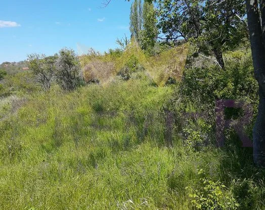 Ingatlaniroda - Imoti Premier - imot - 1080288, Ár: 216000 EUR