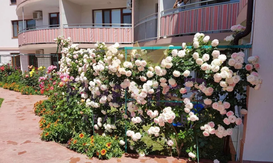 Луксозен 4-стаен мезонет с. Кранево -  - снимка 41 - Имоти Премиер