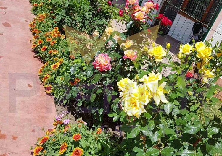 Луксозен мезонет с. Кранево 154,78 м2 -  - снимка 22 - Имоти Премиер