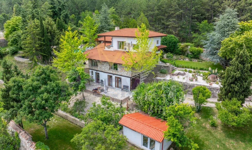 Луксозно имение в село Рогачево - - снимка 2 - Имоти Премиер