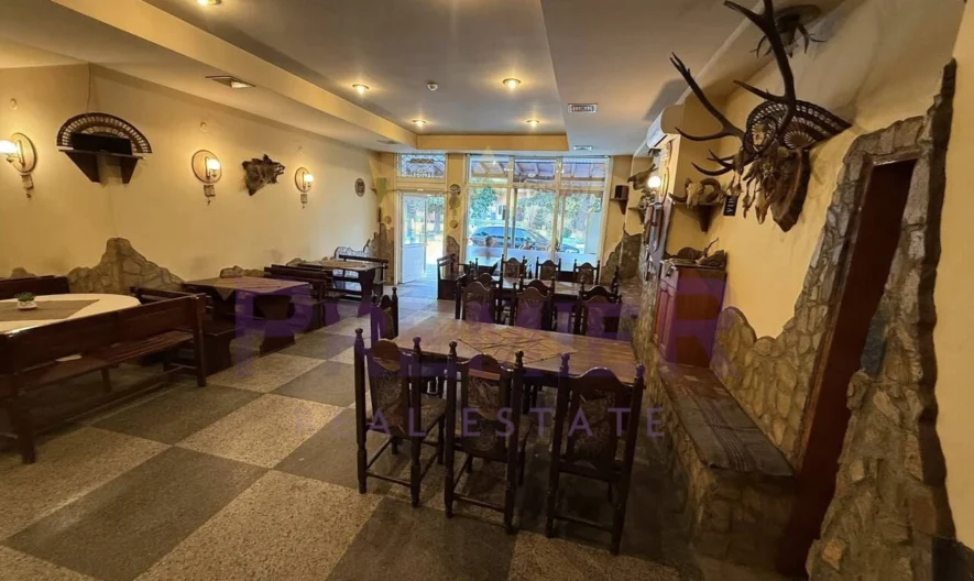 Магазин се в село Главатар ул. 1 ва  №12 -  - снимка 1 - Имоти Премиер