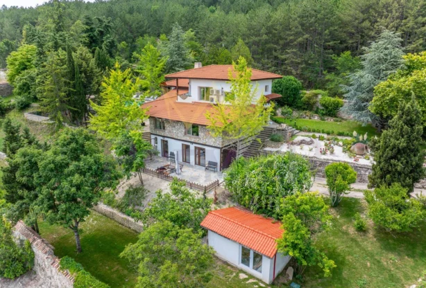 Обява за имот 1031434, Площ: 404 м<sup>2</sup>, Цена: 1220000 EUR - Имоти Премиер