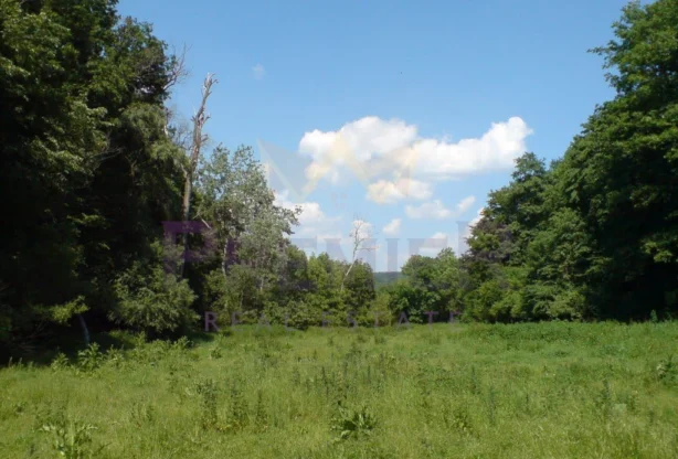 Обява за имот 1050134, Площ: 12577 м<sup>2</sup>, Цена: 199900 EUR - Имоти Премиер