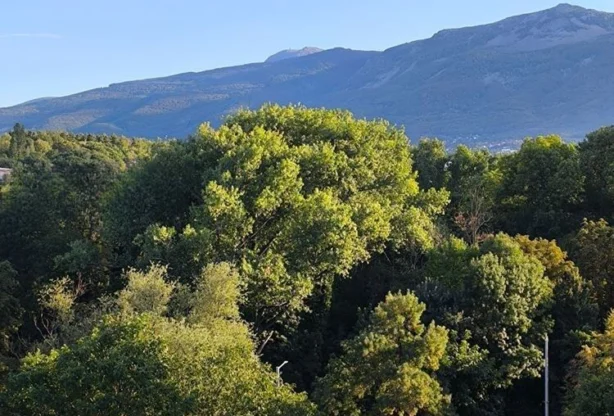 Real Estate Agency - Imoti Premier - imot - 1254973, Price: 455000 EUR