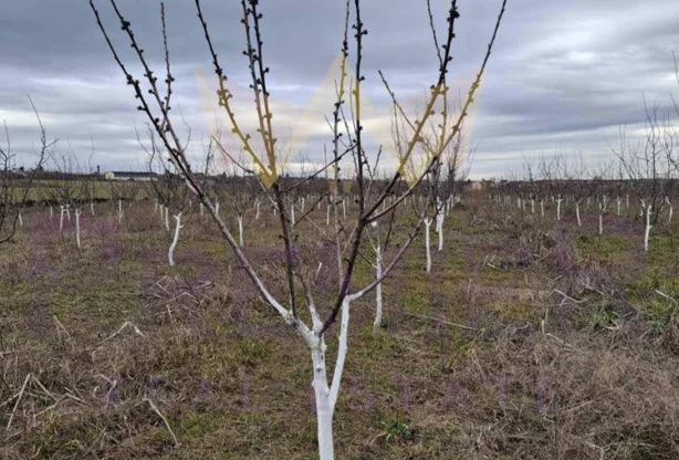 Агенция за недвижими имоти - Имоти Премиер - имот - 980283, Цена: 95000 EUR