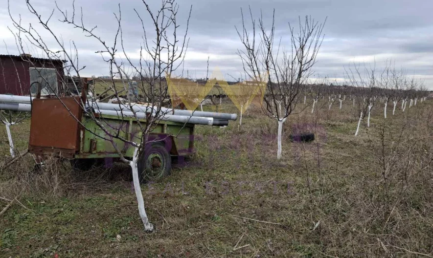 Овощна градина, м-т Добрева чешма -  - снимка 5 - Имоти Премиер