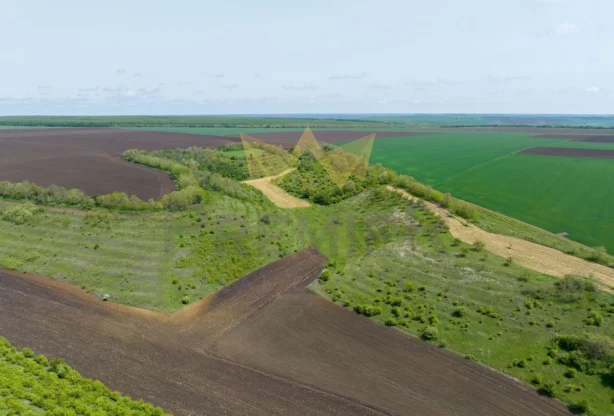 Агенция за недвижими имоти - Имоти Премиер - имот - 1006116, Цена: 20451.68 EUR