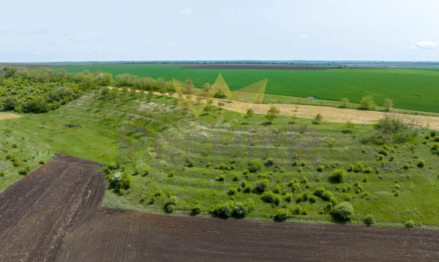 Овощна градина, област Добрич - - снимка 1 - Имоти Премиер