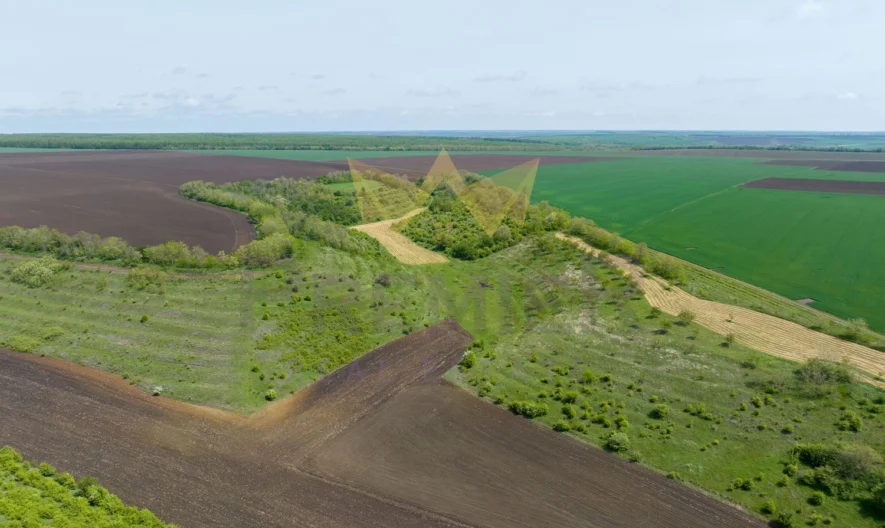 Овощна градина, област Добрич - - снимка 2 - Имоти Премиер