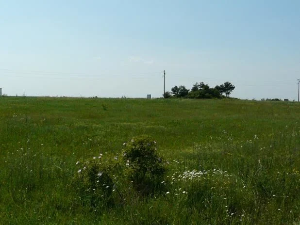 Панорамен парцел в к. к. Камчия -  - снимка 4 - Имоти Премиер