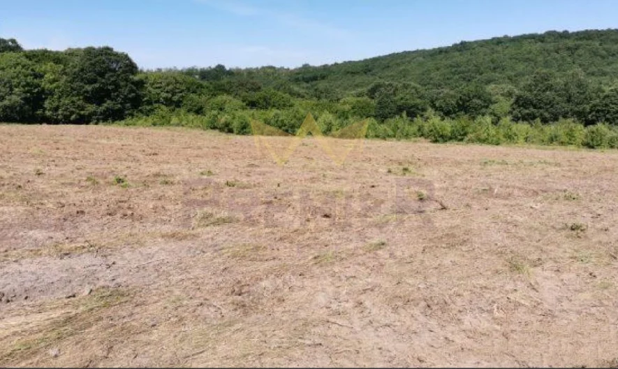 Панорамен парцел в село Звездица - - снимка 6 - Имоти Премиер