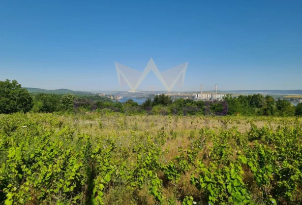 Агенция за недвижими имоти - Имоти Премиер - имот - 716565, Цена: 117700 EUR