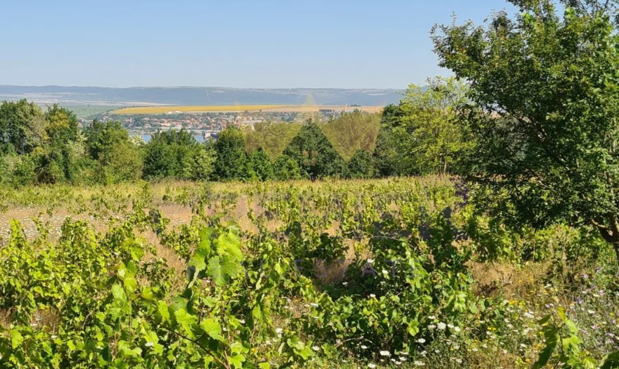 ПАНОРАМЕН ПАРЦЕЛ ЗА ПРОДАЖБА - - снимка 3 - Имоти Премиер