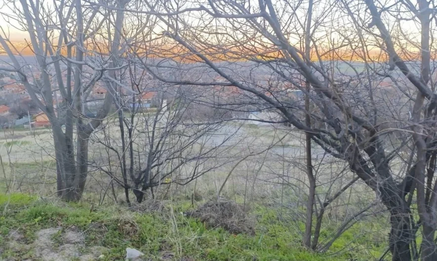 Панорамни парцели с. Брестник -  - снимка 7 - Имоти Премиер