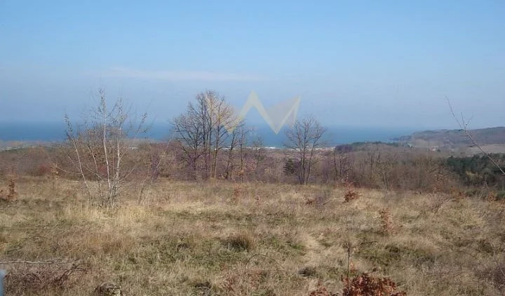 Агенция за недвижими имоти - Имоти Премиер - имот - 1174695, Цена: 1000000 EUR