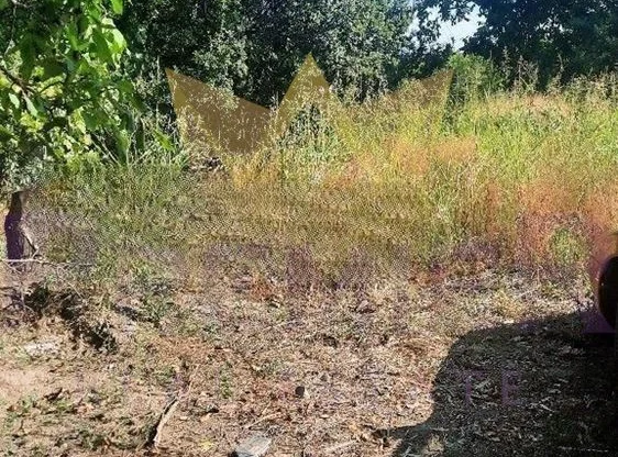 Агенция за недвижими имоти - Имоти Премиер - имот - 1193474, Цена: 77500 EUR