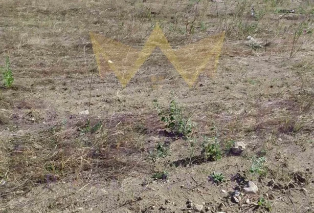 Агенция за недвижими имоти - Имоти Премиер - имот - 702705, Цена: 301600 EUR