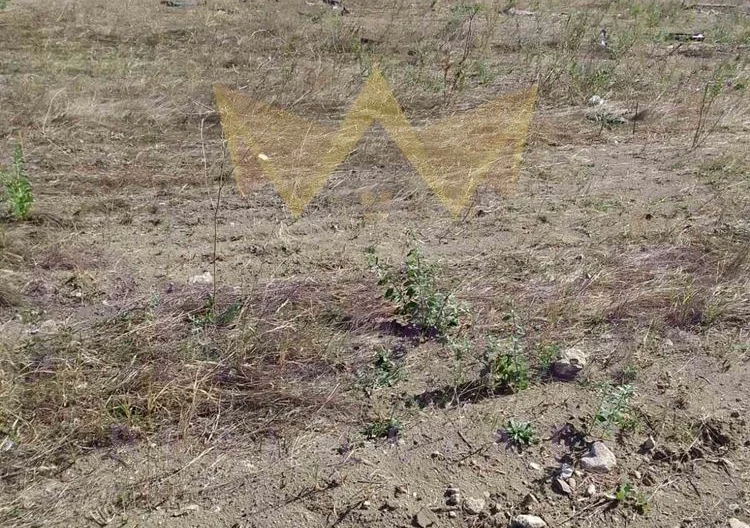 Агенция за недвижими имоти - Имоти Премиер - имот - 702705, Цена: 301600 EUR