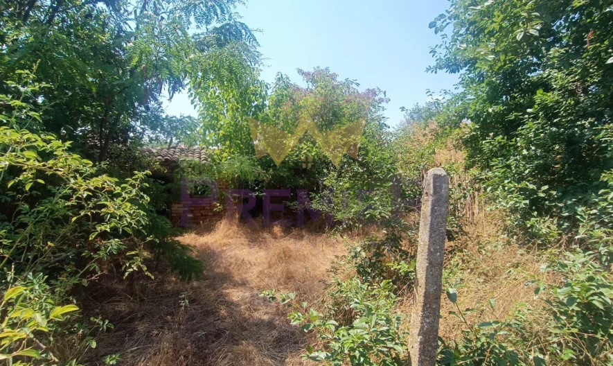 Парцел 2 дк. с централна локациа в с. Дропла; Възможност за придобиване на съседен парцел 1,3 дк. -  - снимка 3 - Имоти Премиер