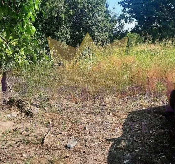 парцел -  - снимка 3 - Имоти Премиер