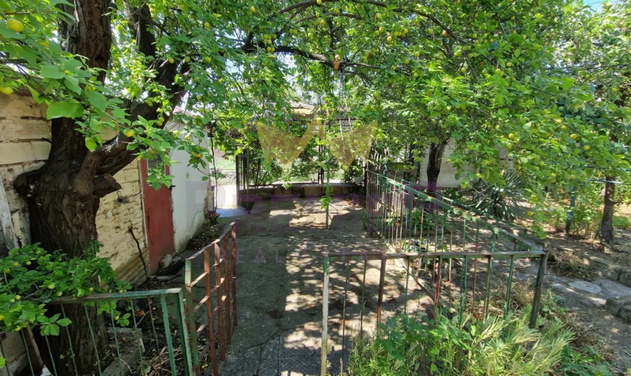 Парцел, 550кв. м-ст Планова, 250м. от главен път -  - снимка 8 - Имоти Премиер