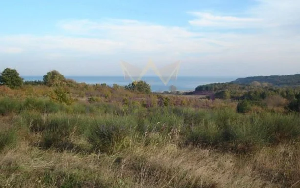 Агенция за недвижими имоти - Имоти Премиер - имот - 1174695, Цена: 1245000 EUR