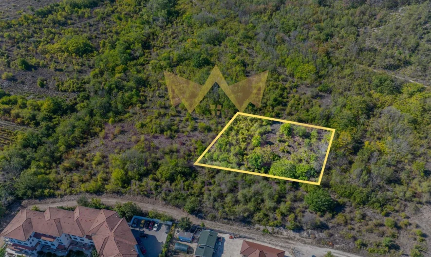 Парцел – лозе с площ 3 060 кв.м с МОРСКА ПАНОРАМА  в с. Рогачево -  - снимка 3 - Имоти Премиер