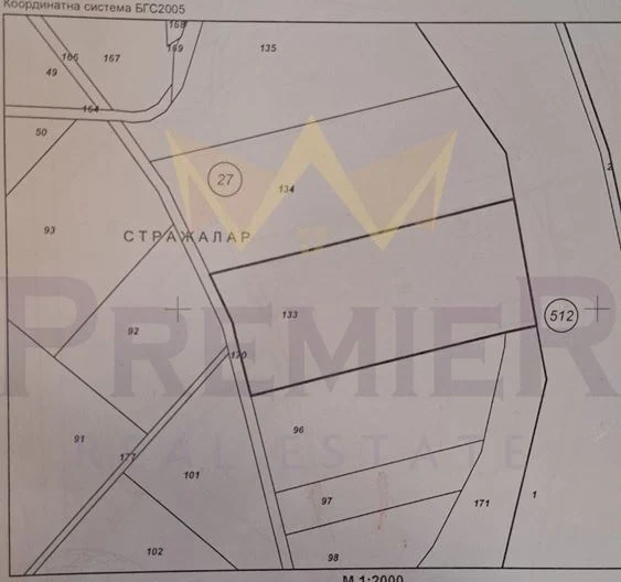 Парцел 8800 кв.м. с. Кичево -  - снимка 4 - Имоти Премиер