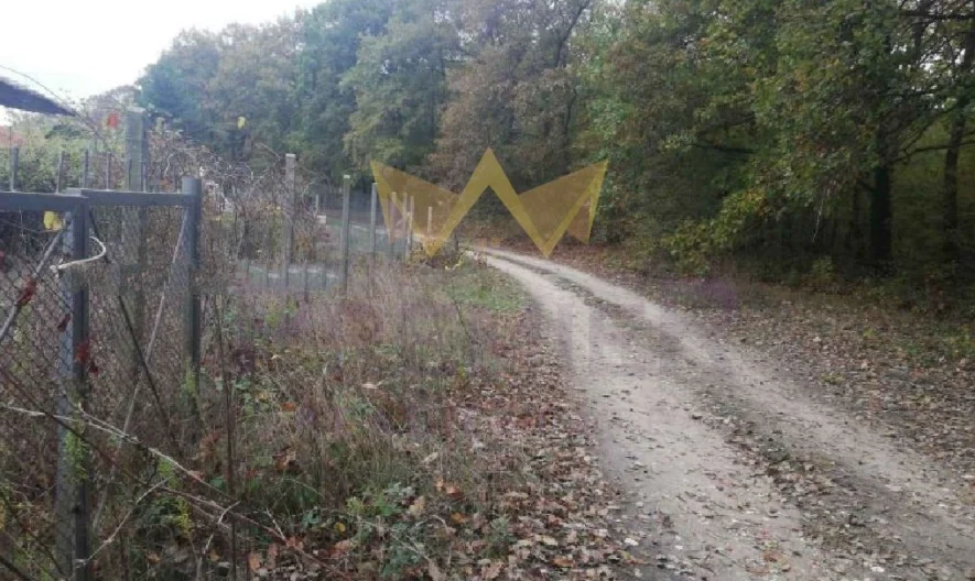 Парцел Боровец – юг 600 кв.м. -  - снимка 1 - Имоти Премиер