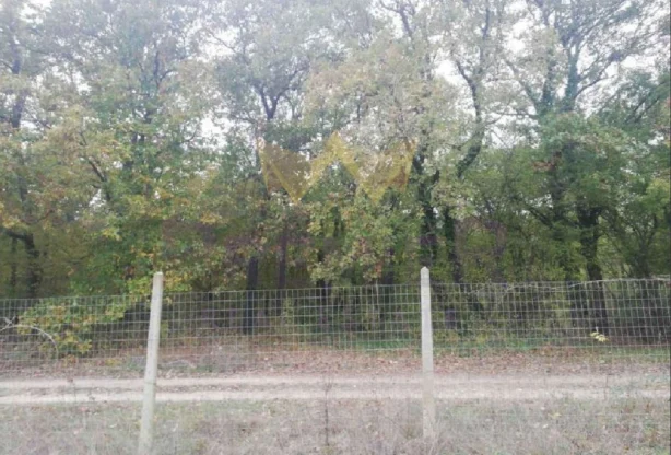 Агенция за недвижими имоти - Имоти Премиер - имот - 803340, Цена: 63000 EUR