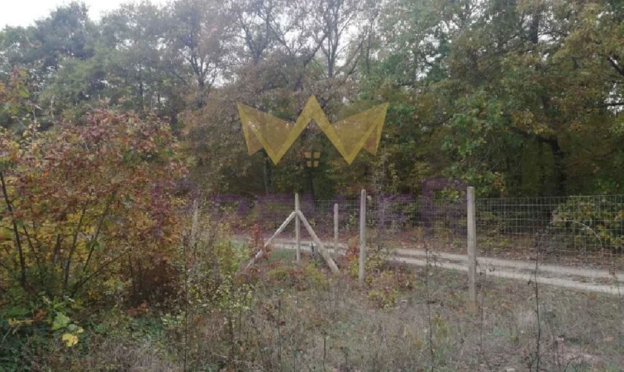 Парцел Боровец – юг 600 кв.м. -  - снимка 2 - Имоти Премиер