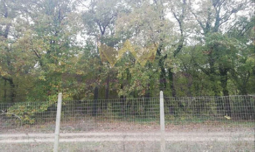 Парцел Боровец – юг 600 кв.м. -  - снимка 3 - Имоти Премиер