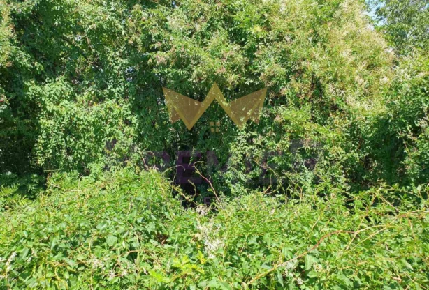 Агенция за недвижими имоти - Имоти Премиер - имот - 909186, Цена: 41000 EUR