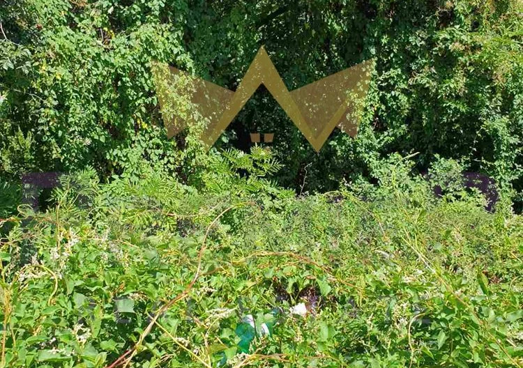 Парцел Боровец Север -  - снимка 2 - Имоти Премиер