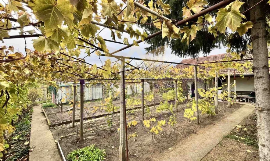 Парцел Газибаба -  - снимка 1 - Имоти Премиер