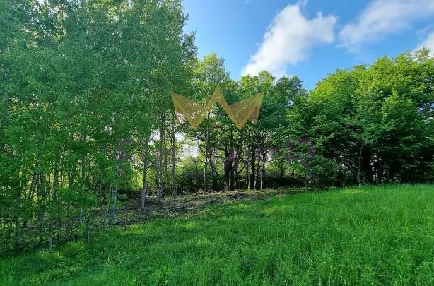 Агенция за недвижими имоти - Имоти Премиер - имот - 772200, Цена: 90000 EUR