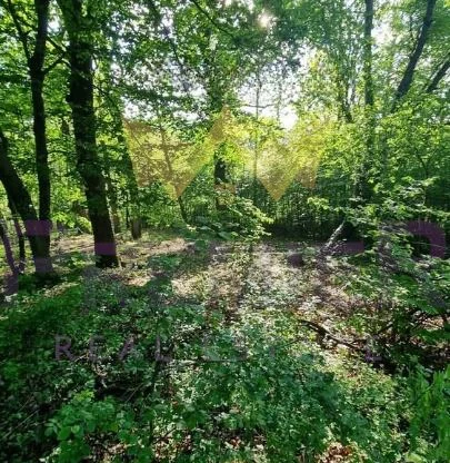 Агенция за недвижими имоти - Имоти Премиер - имот - 772200, Цена: 90000 EUR