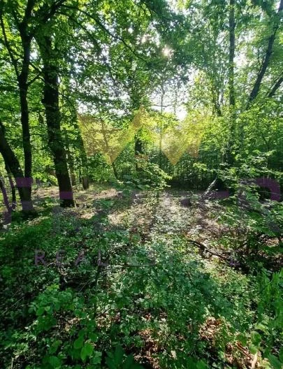 Парцел, Горна Баня - - снимка 3 - Имоти Премиер