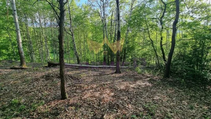 Парцел, Горна Баня - - снимка 4 - Имоти Премиер