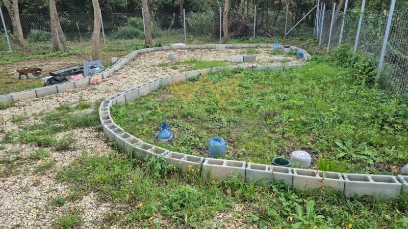 Парцел, Камчия -  - снимка 10 - Имоти Премиер