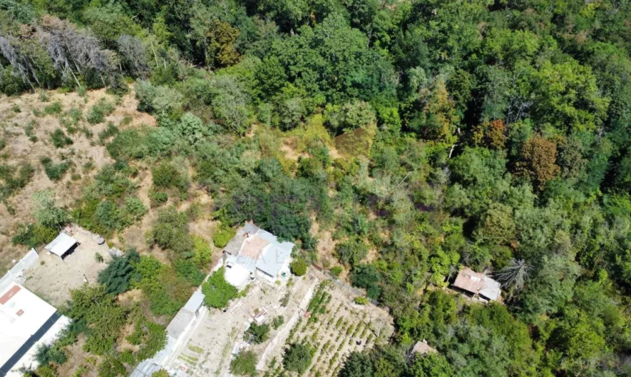 Парцел, м-т Франга дере, гр. Варна -  - снимка 4 - Имоти Премиер