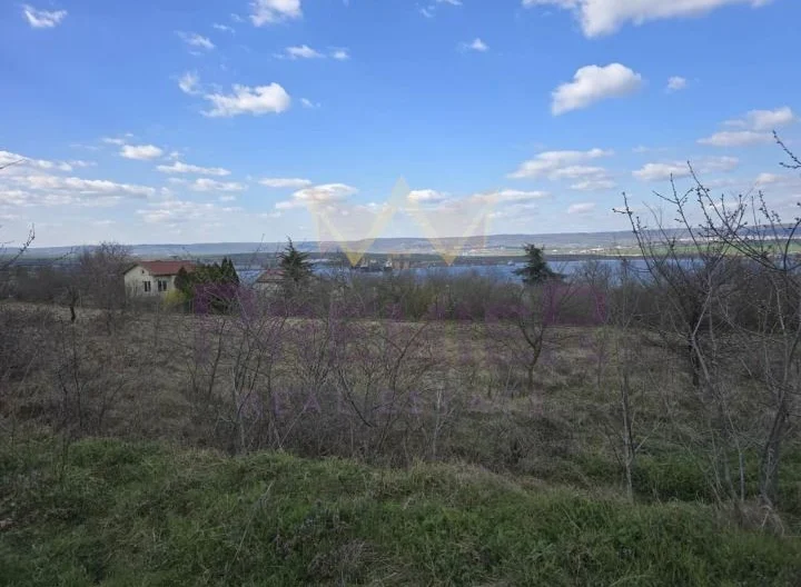 Парцел м-т Лазур - - снимка 5 - Имоти Премиер