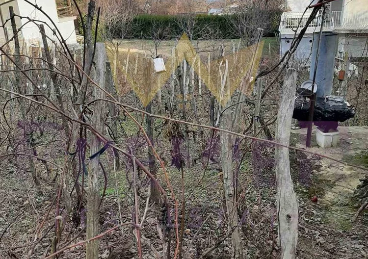 Парцел м-т Панорама 3 - - снимка 5 - Имоти Премиер