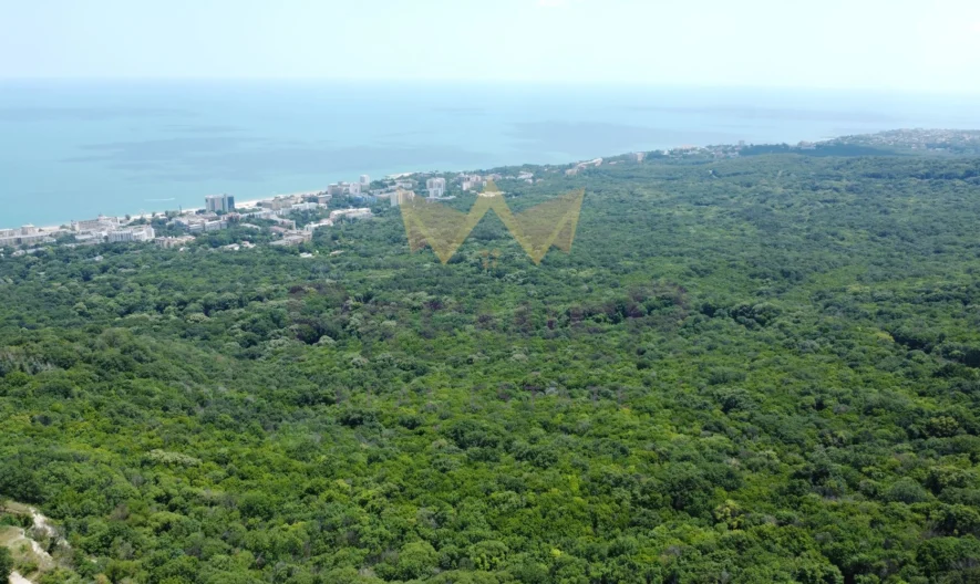 Парцел м-т Перчемлията, гр. Варна - - снимка 17 - Имоти Премиер