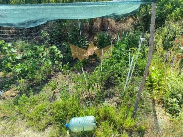 Парцел, м-т Планова, гр. Варна -  - снимка 7 - Имоти Премиер