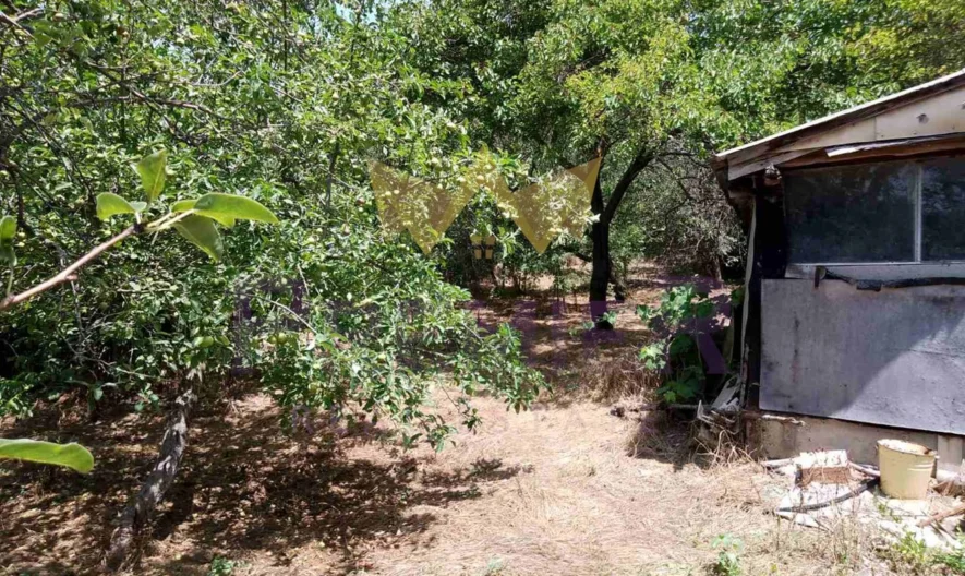 Парцел местност Планова -  - снимка 11 - Имоти Премиер