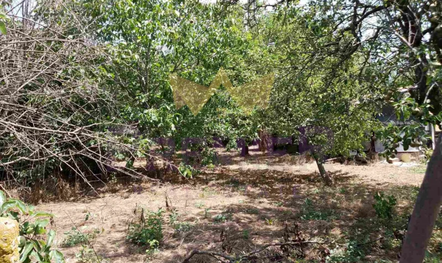 Парцел местност Планова -  - снимка 13 - Имоти Премиер