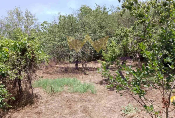 Агенция за недвижими имоти - Имоти Премиер - имот - 910778, Цена: 25000 EUR